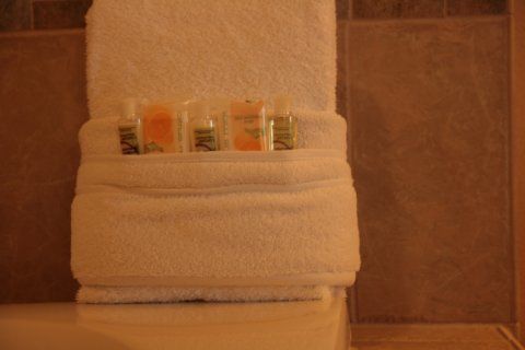 & College Station-aggieland By Ihg 4*